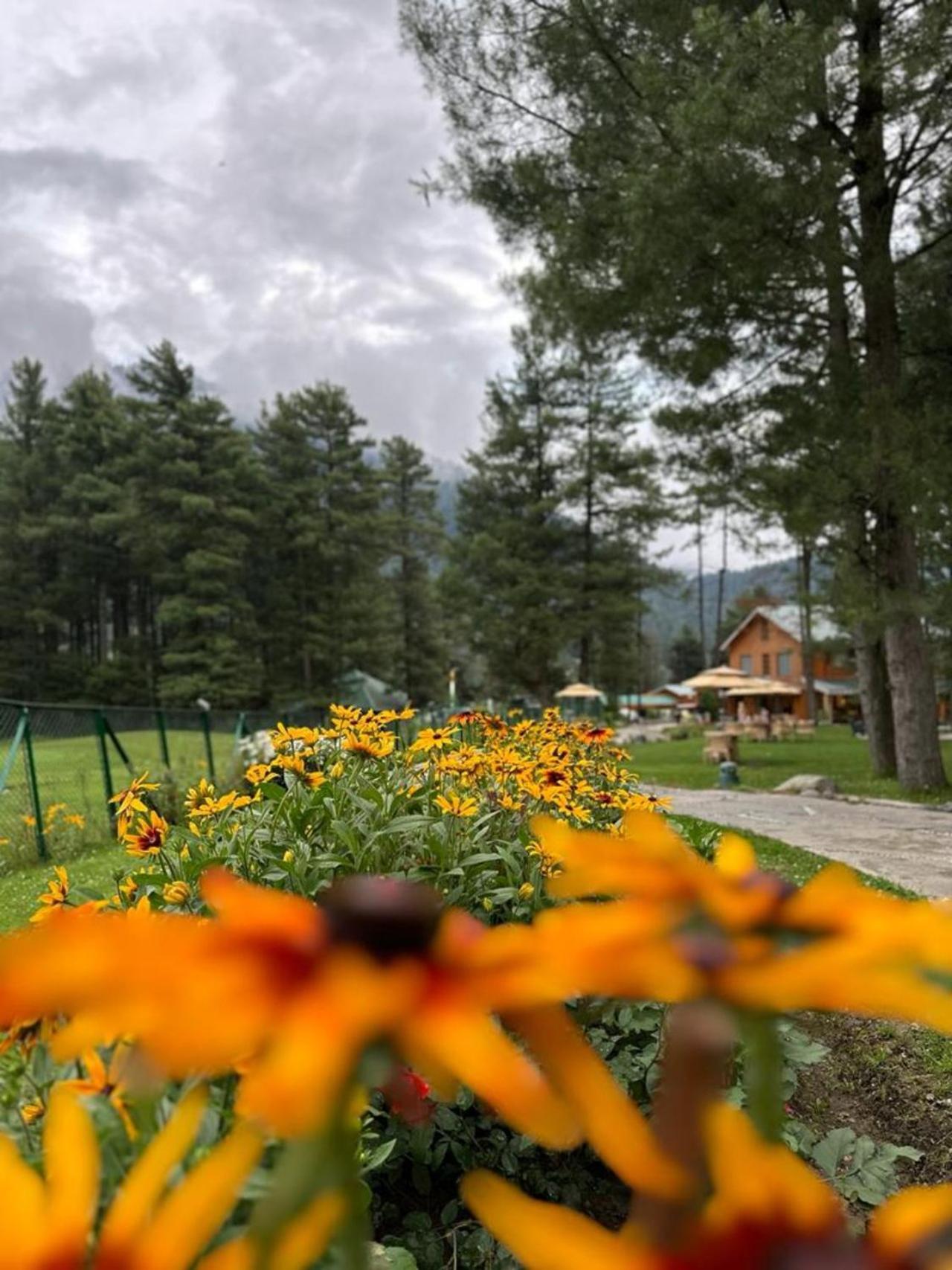 Radisson Golf Resort Pahalgām エクステリア 写真