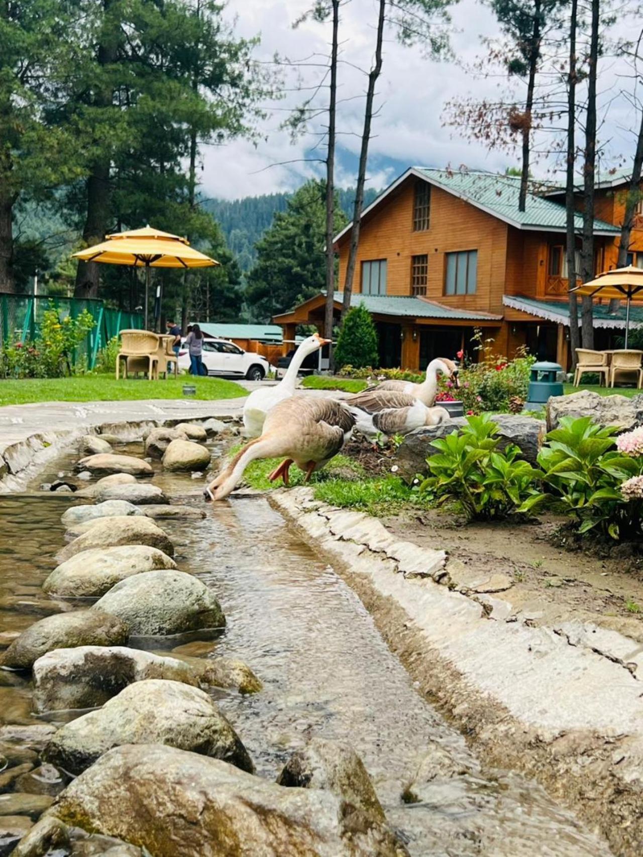 Radisson Golf Resort Pahalgām エクステリア 写真
